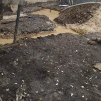 چاه مته‌ای برقی