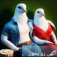 کفتر سرخ و گرگی