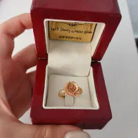 انگشتر گم شده
