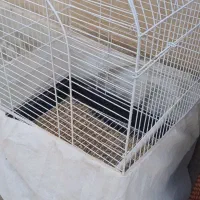 قفس پرنده نو