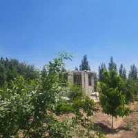 قطعه های سیصد تا هزار متری باغچه با درختان میوه