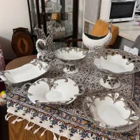 ظروف پذیرایی کاملا نو