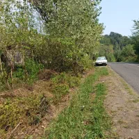 زمین بحر جاده اصلی|فروش زمین و ملک کلنگی|املش, |دیوار