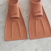 فین شنا
