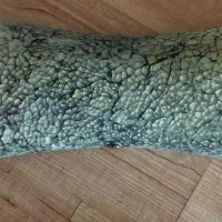 دیوارکوب|لوستر و چراغ آویز|رشت, گلسار|دیوار