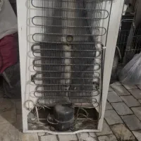 فریزر فیلکو آمریکایی
