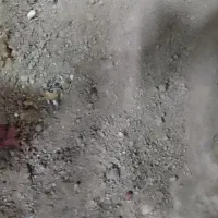 زمین فنس کشی شده چهار میخ مجوز باغ برق دارد