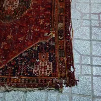 فرش دستباف با قدمت ۵۰ سال که بید زدگی داره|فرش|شیراز, تحویلی|دیوار
