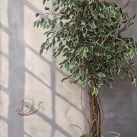 درختچه|گل مصنوعی|قم, انسجام|دیوار