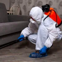 شرکت سمپاشی موریانه زدایی سم پاشی ساس سوسک ریز|خدمات نظافت|اهواز, کوی مهدیس|دیوار