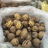 گردو نهاوند