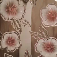 شیرینی خوری گل برجسته ، استکان نعلبکی لب طلایی|ظروف سرو و پذیرایی|تهران, شهرک آزمایش|دیوار