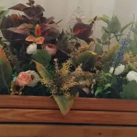 گل باغچه ای|گل مصنوعی|کوهدشت, |دیوار