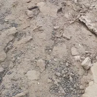 کود گوسفندی 500000