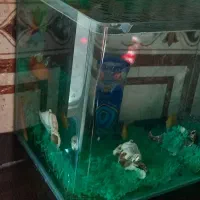 اکواریم یک ملیون