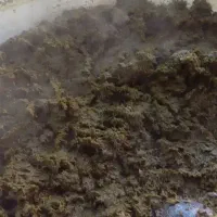 سبزی سرخ شده