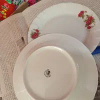 گل سرخی