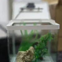 آکواریوم دلسا k320|ماهی|شیراز, مسکن مهر شیراز|دیوار