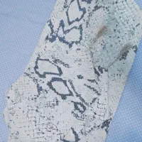 اکسسوری زینتی