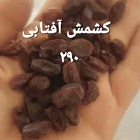 شیره انگور، مویز، کشمش، کاملا ارگانیک|خوردنی و آشامیدنی|اسلامشهر, شهرک الهیه|دیوار