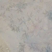 چادر عروس|لباس|نیشابور, دارایی|دیوار