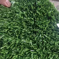 چمن مخصوص تالار پذیرایی