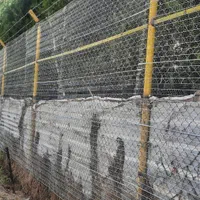 اجرای شات تر حرفه ای|خدمات پیشه و مهارت|اهواز, کوی نیرو|دیوار