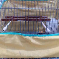 قفس|لوازم جانبی حیوانات|قم, ولیعصر|دیوار