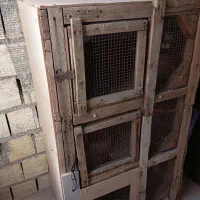 کجه،  قفس|لوازم جانبی حیوانات|قنوات, |دیوار