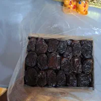 خرمای کبکاب لوکس آبپخش