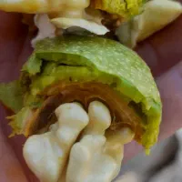 گردو ایالات متحده ریـگ