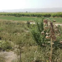 زمین باهرکاربری از1000مترتا1000هکتار|فروش دفتر صنعتی، کشاورزی، تجاری|مشهد, شهید جنگی|دیوار