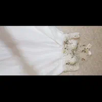 لباس عقد|لباس|بندرعباس, |دیوار