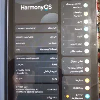 تبلت|تبلت|اصفهان, شیخ طوسی|دیوار