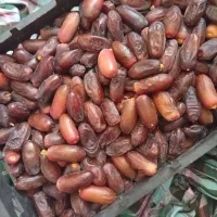 خرما ربی دستچین