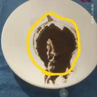 طالع بینی و  دعا