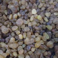 حبوبات ،کشمش پلویی، کره محلی (۳۰۰)|خوردنی و آشامیدنی|داراب, |دیوار