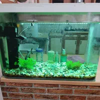 آکواریوم ۶۰ در ۷۰ در ۳۰ شیشه خمیده با تجهیزات