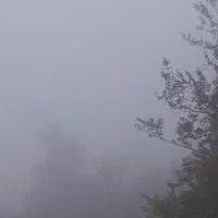 ثبت نان کمیته دهک های یک تاسه