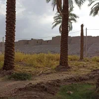 انجام کارهای کشاورزی دیوار چینی