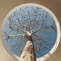 ۱۹۱ متری ۳ خواب ویو پارک خلدبرین|فروش آپارتمان|شیراز, خلدبرین|دیوار