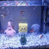 آکواریوم|ماهی|اسلام‌شهر, شهرک سعیدیه|دیوار