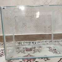 آکواریوم و لوازم جانبی