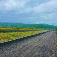 زمین-پلاک-یک-جنگل-شروع-قیمت-از-300-تومن