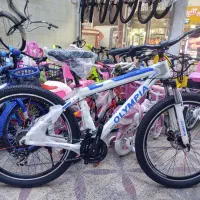 دوچرخه فروشی برکه