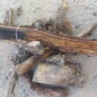 چوب خشک بلوط در گونی بسیار ضخیم|خدمات باغبانی و درختکاری|فلارد, |دیوار