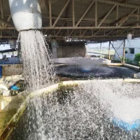 کارگر پرورش ماهی