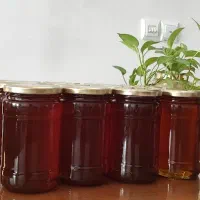 عسل طبیعی طالقان|خوردنی و آشامیدنی|هشتگرد, مدرس|دیوار