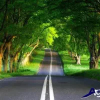 تورهای مسافرتی عصر جدید