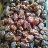 خرمای کباب صادراتی